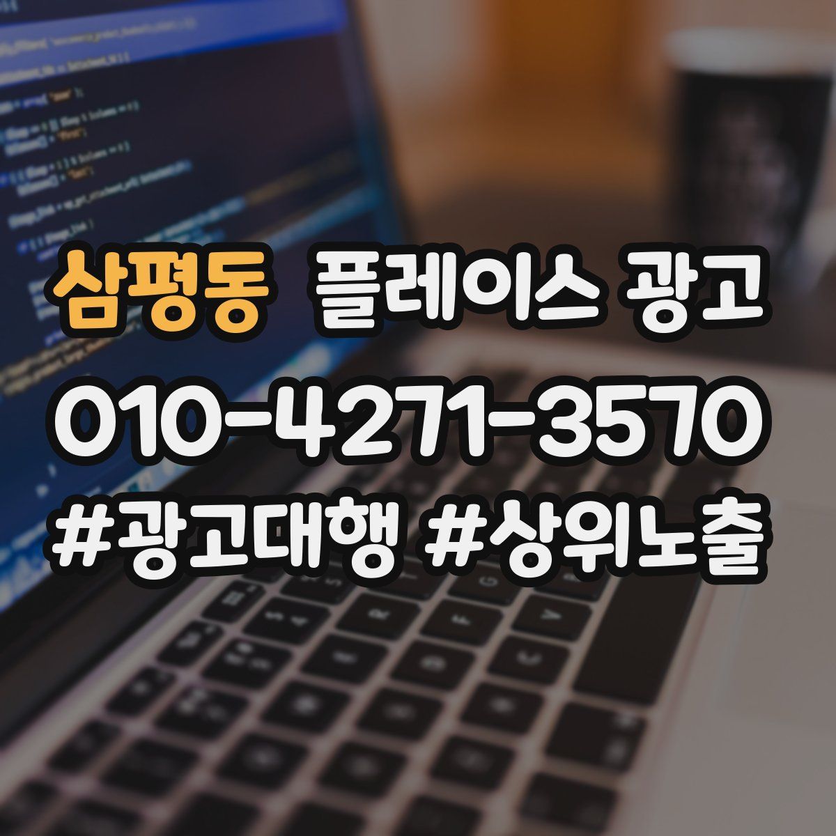 삼평동 플레이스 광고