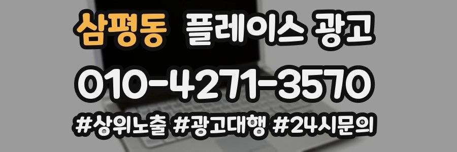 삼평동 플레이스 광고