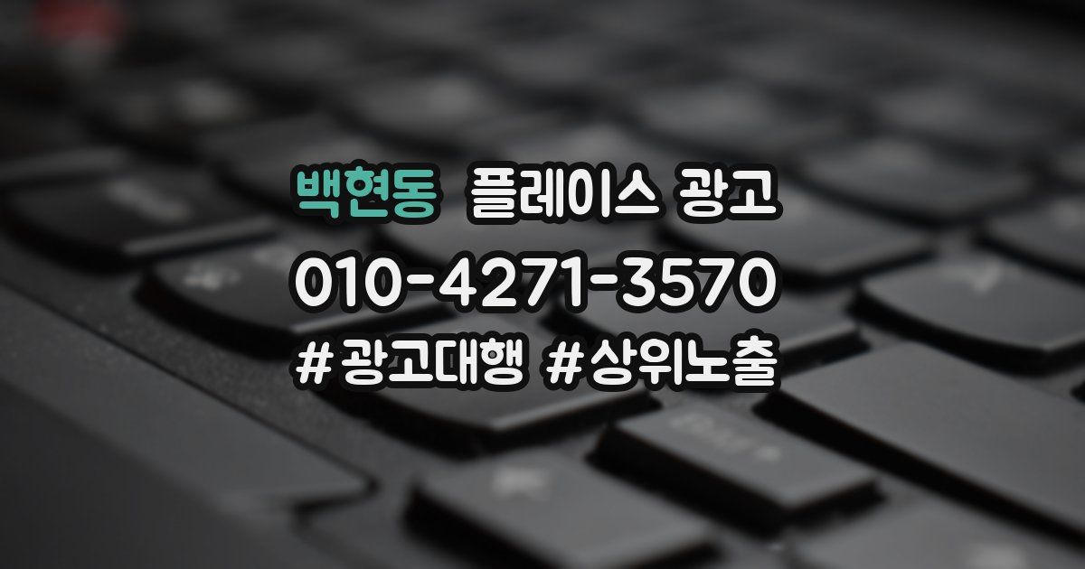 백현동 플레이스 광고