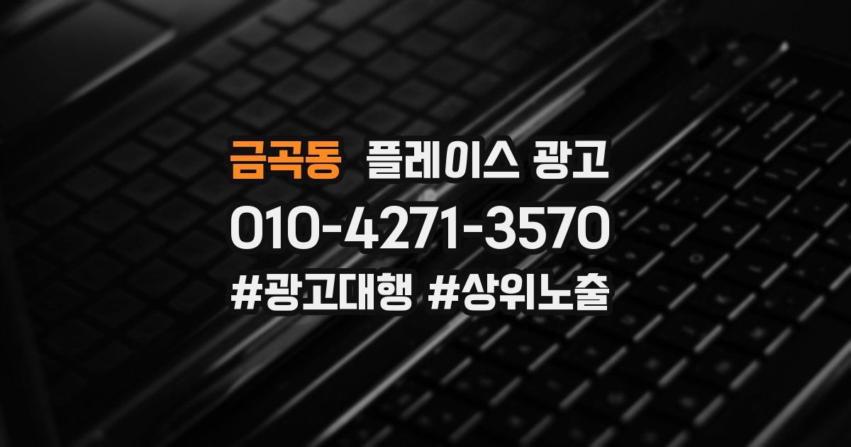 금곡동 플레이스 광고