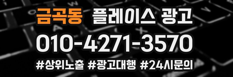 금곡동 플레이스 광고