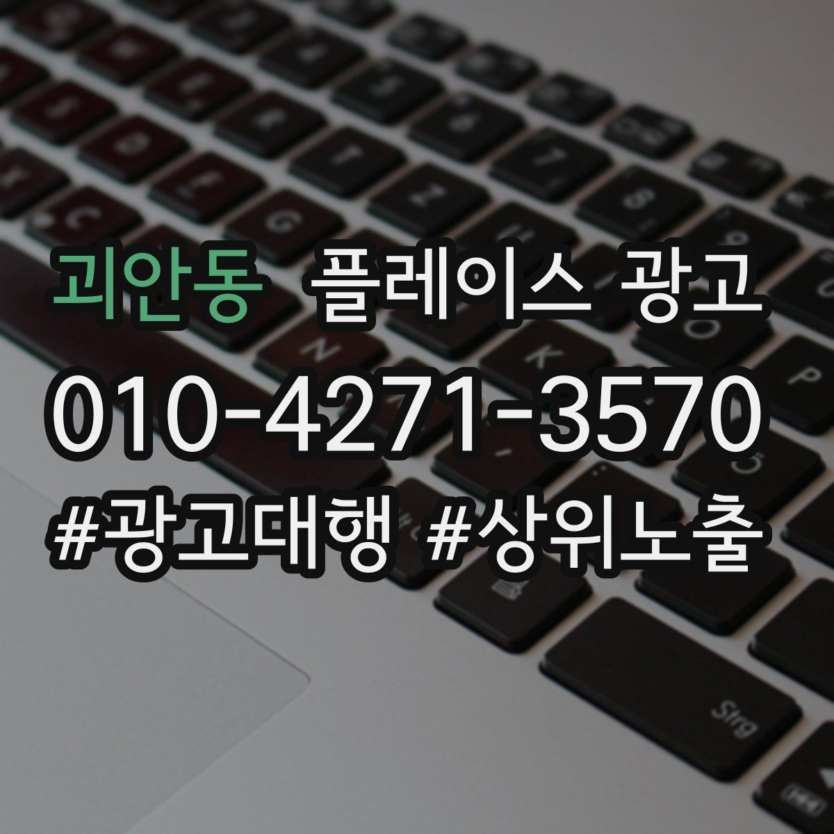 괴안동 플레이스 광고