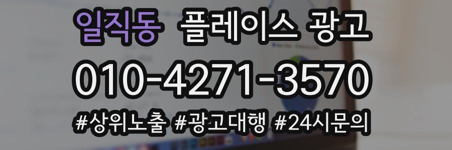 일직동 플레이스 광고