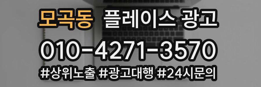 모곡동 플레이스 광고
