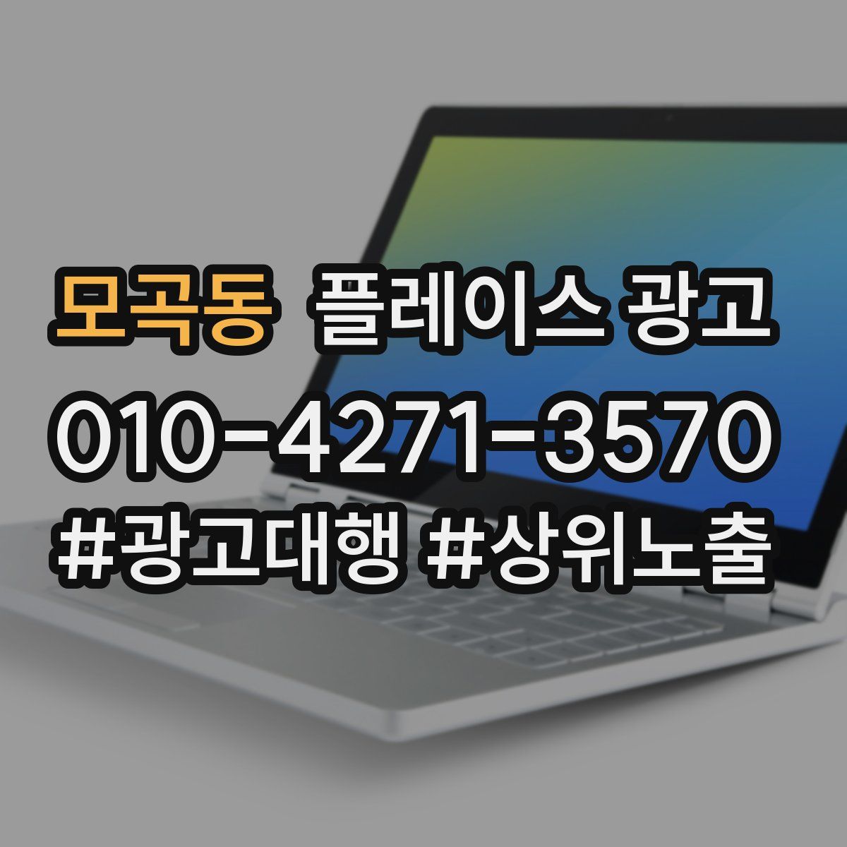모곡동 플레이스 광고