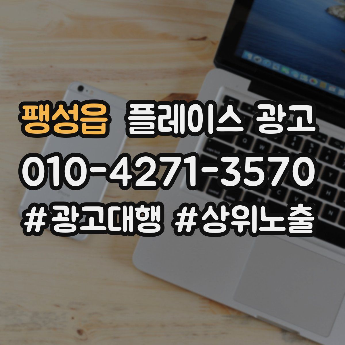 팽성읍 플레이스 광고
