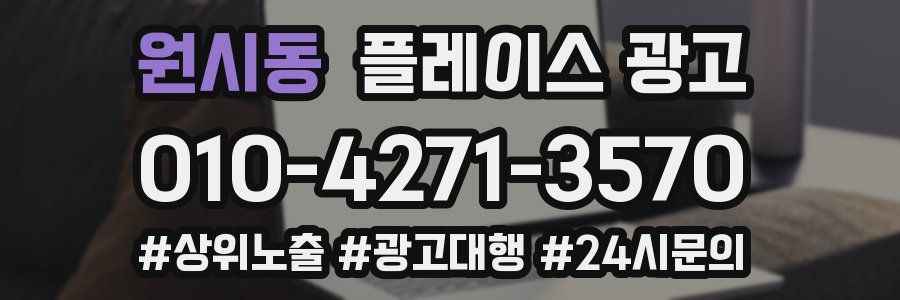 원시동 플레이스 광고