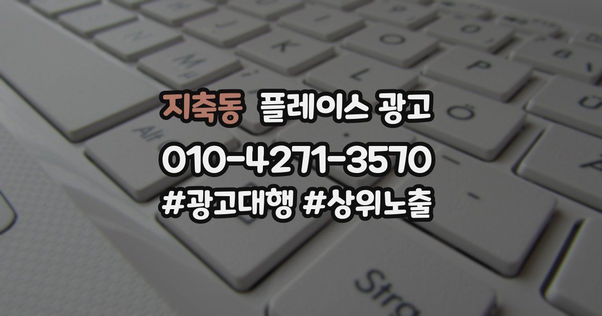 지축동 플레이스 광고
