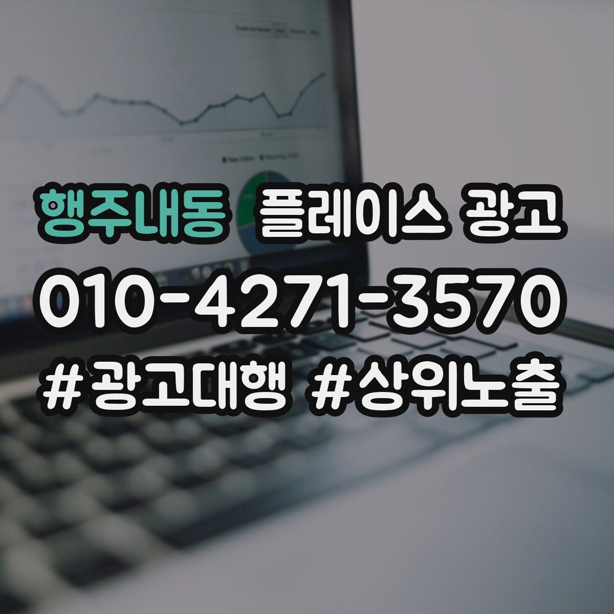 행주내동 플레이스 광고
