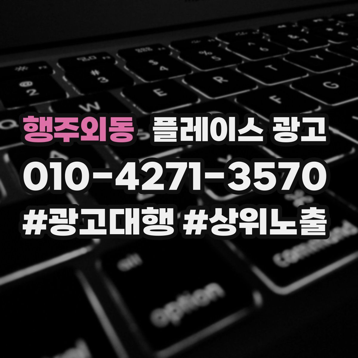 행주외동 플레이스 광고
