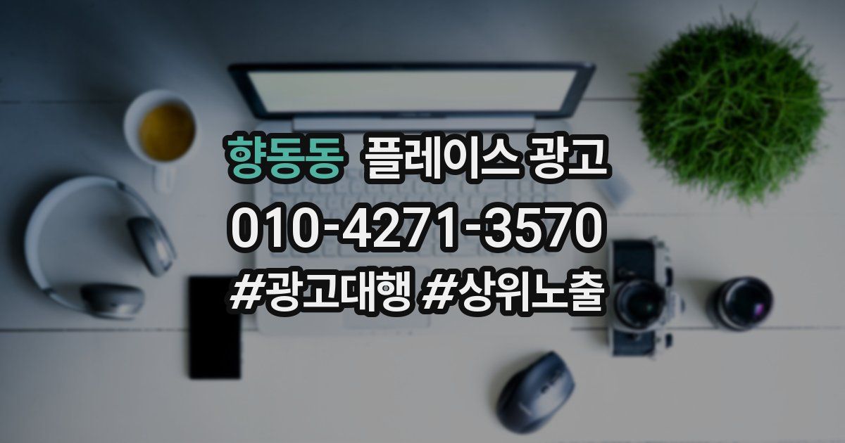 향동동 플레이스 광고