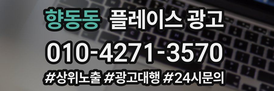 향동동 플레이스 광고