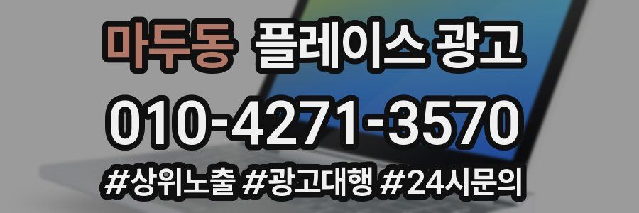 마두동 플레이스 광고