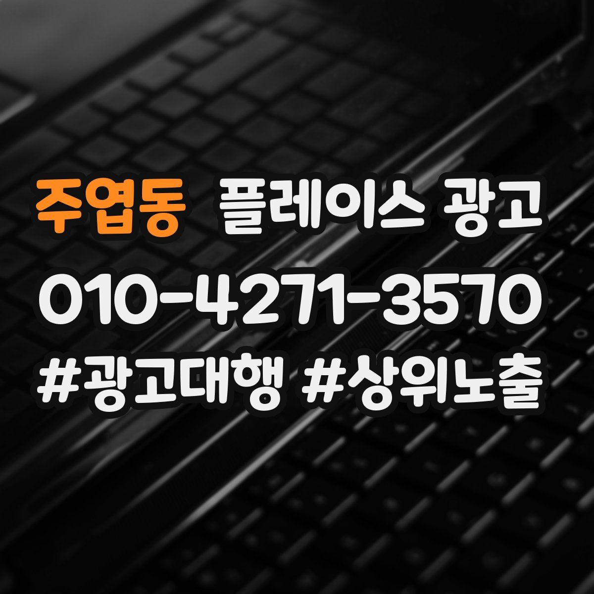 주엽동 플레이스 광고