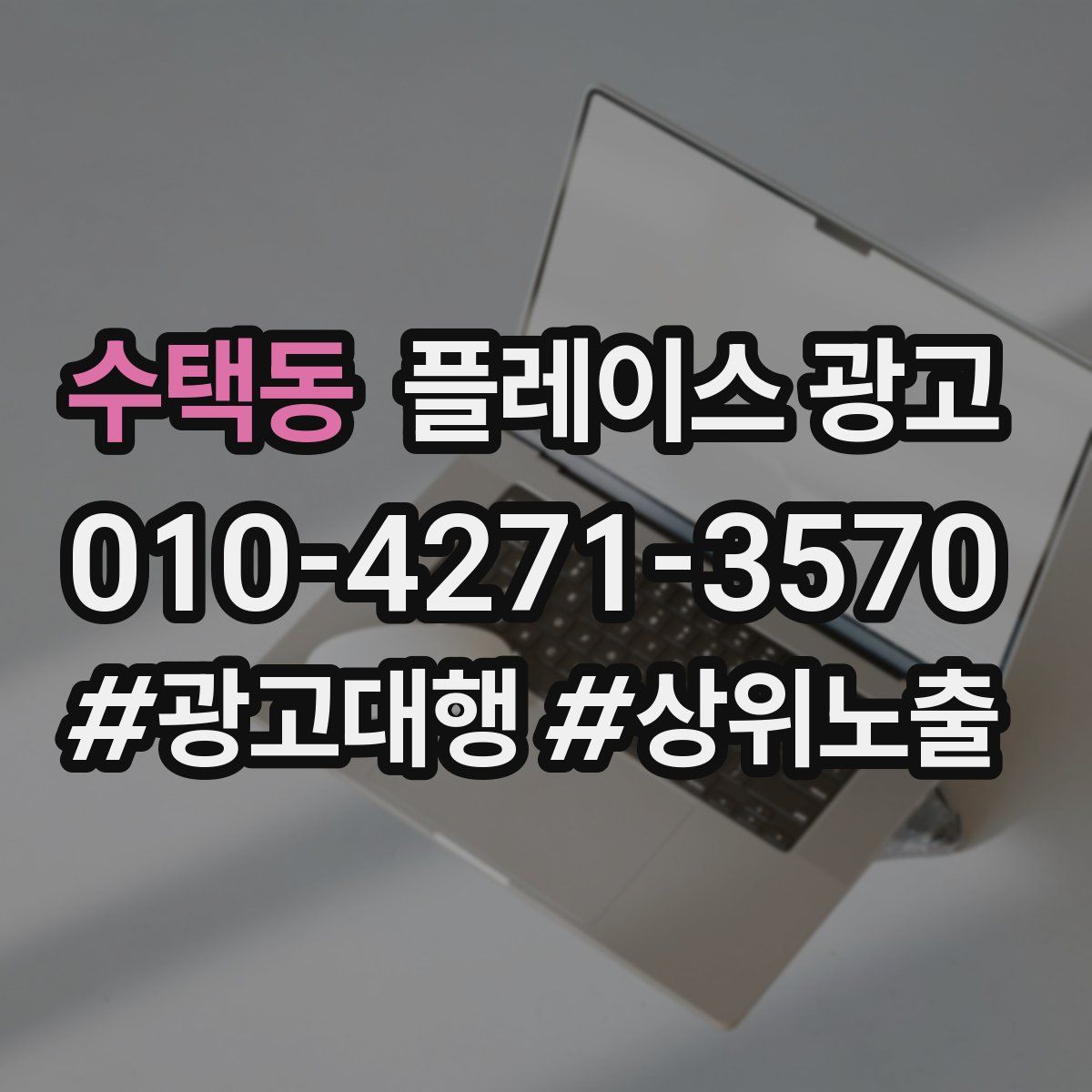 수택동 플레이스 광고