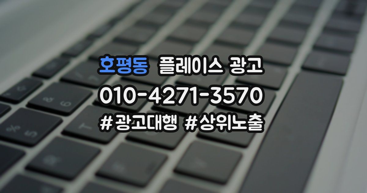 호평동 플레이스 광고