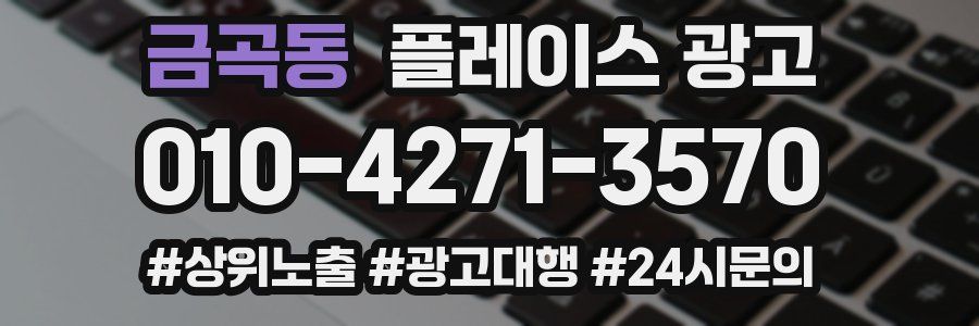 금곡동 플레이스 광고