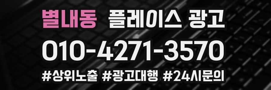 별내동 플레이스 광고
