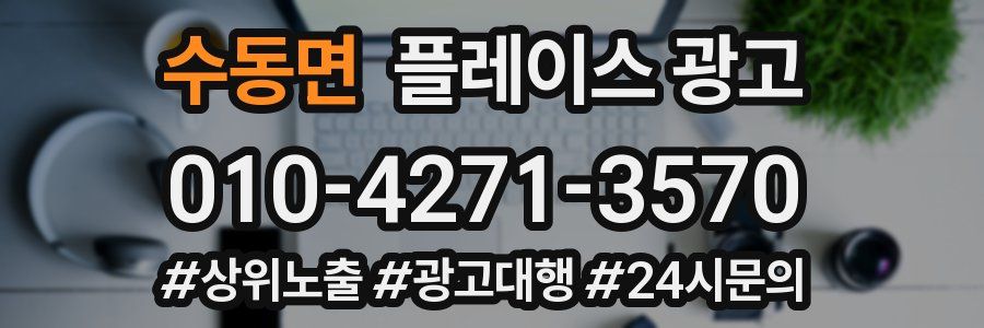 수동면 플레이스 광고