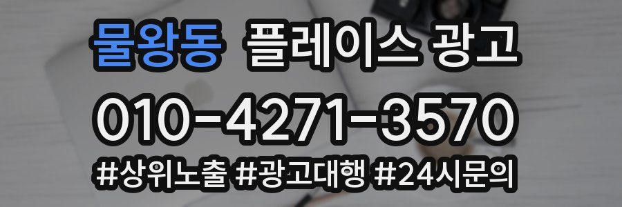 물왕동 플레이스 광고