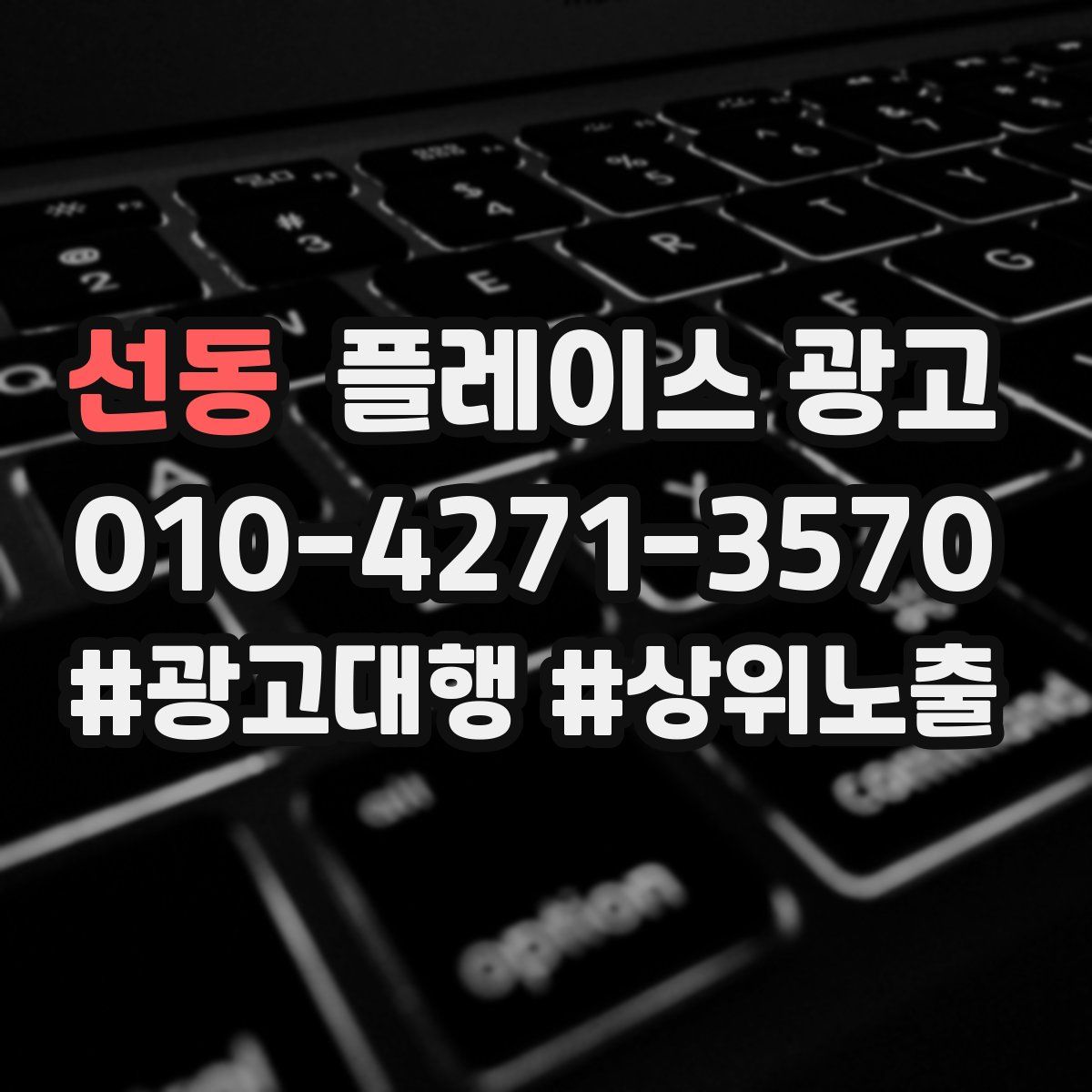 선동 플레이스 광고