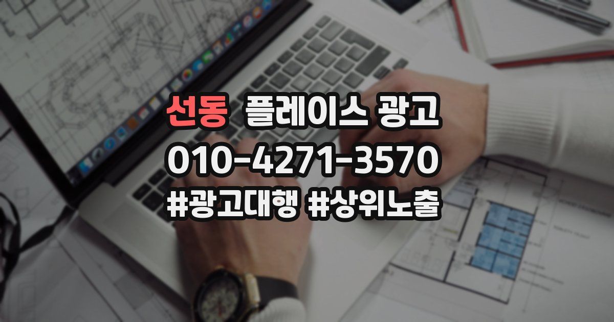 선동 플레이스 광고