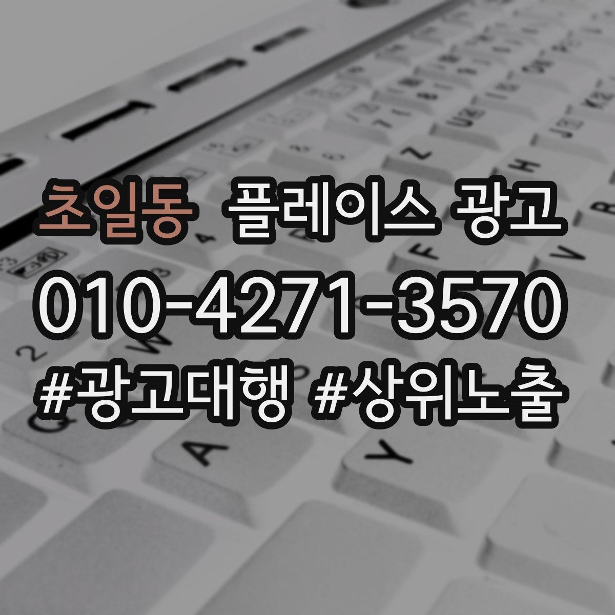 초일동 플레이스 광고