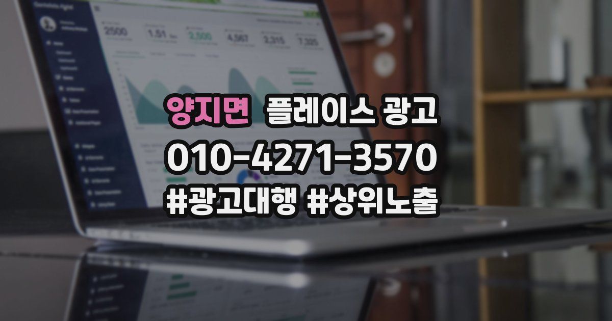양지면 플레이스 광고