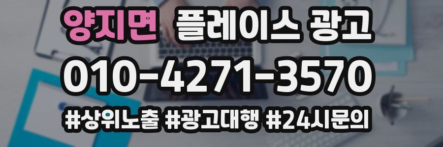 양지면 플레이스 광고