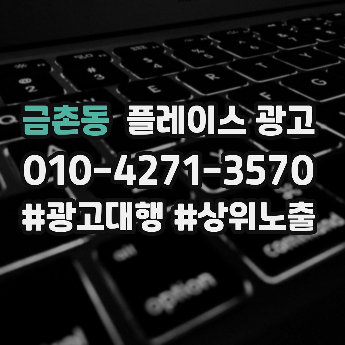 금촌동 플레이스 광고