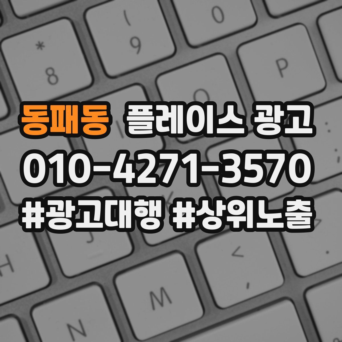 동패동 플레이스 광고