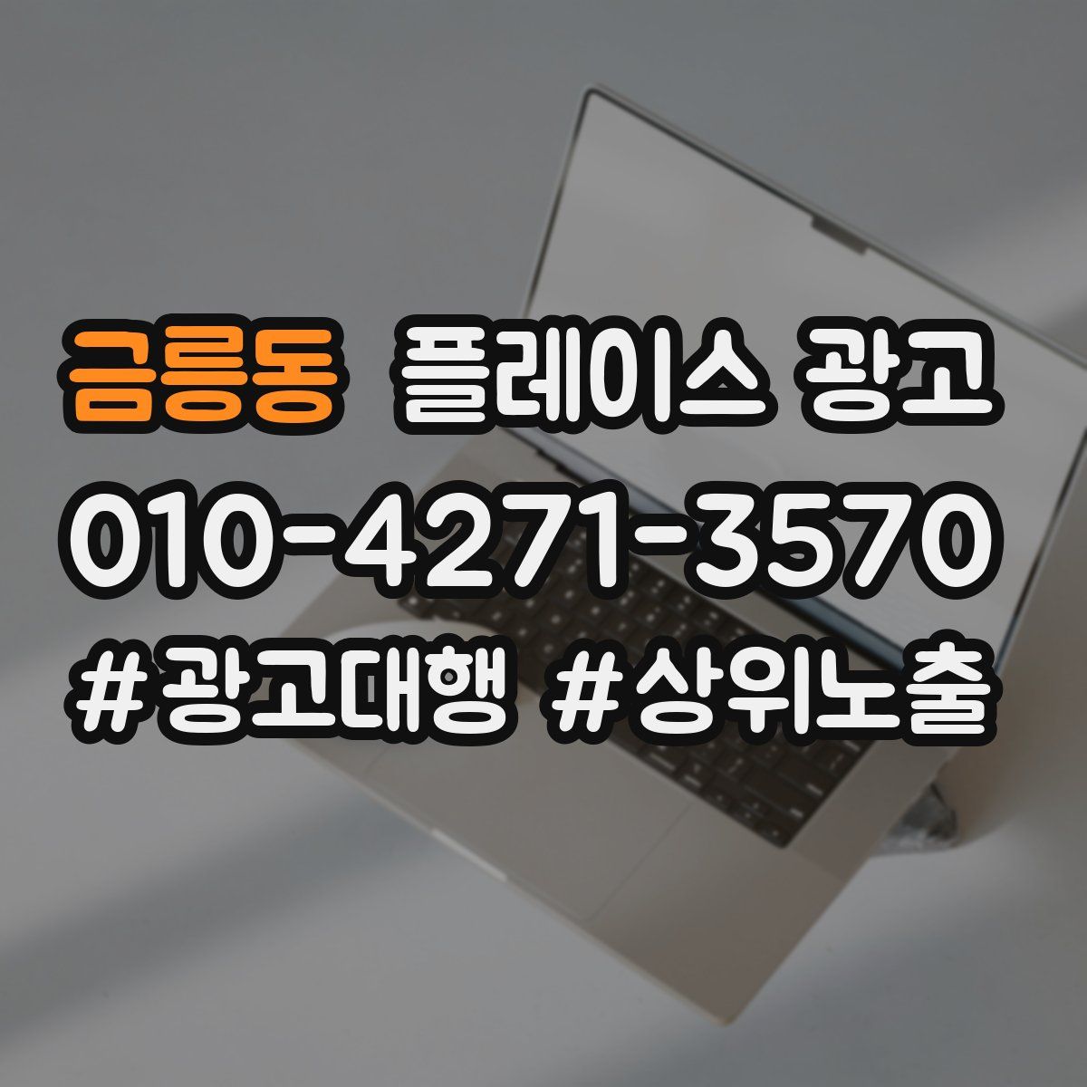 금릉동 플레이스 광고