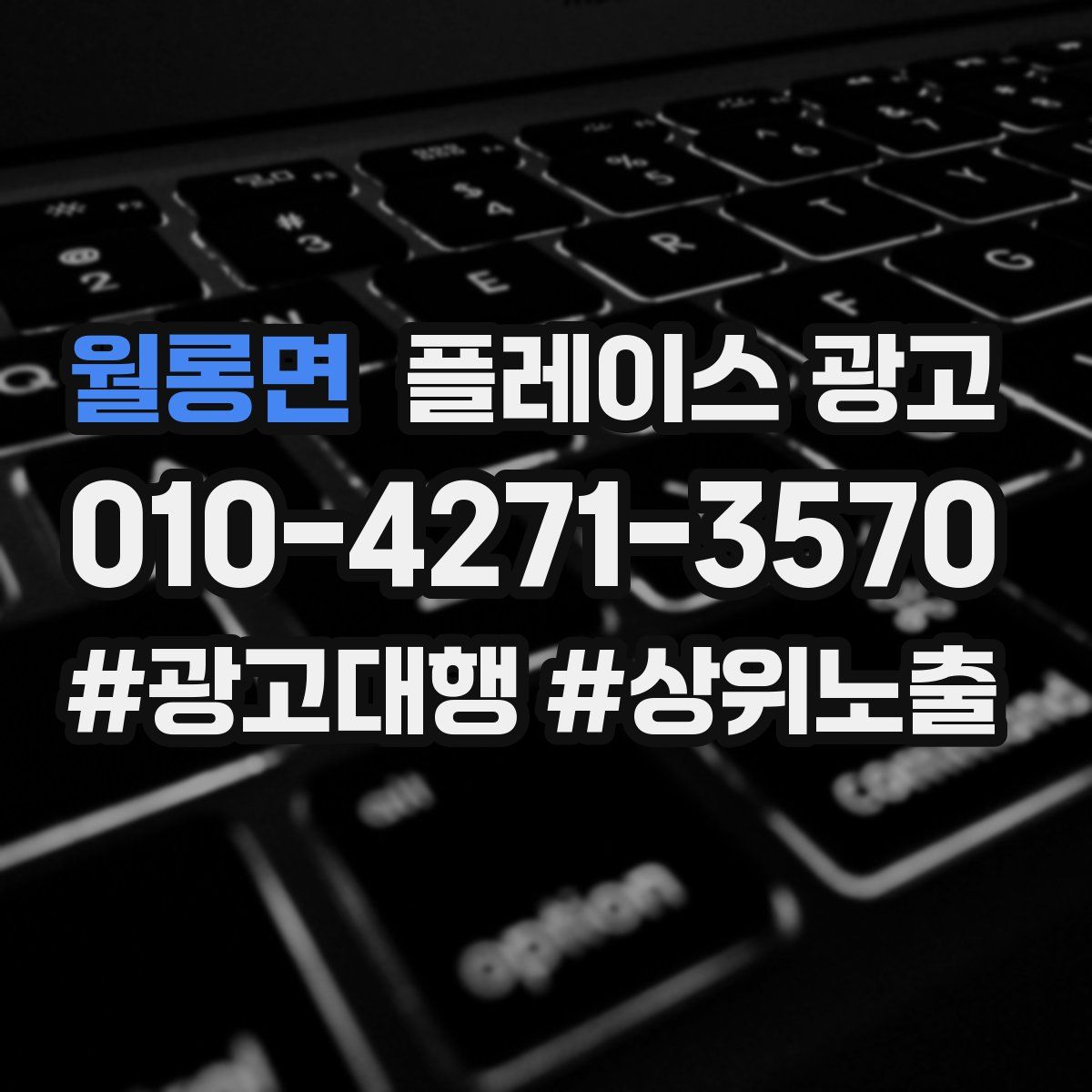월롱면 플레이스 광고
