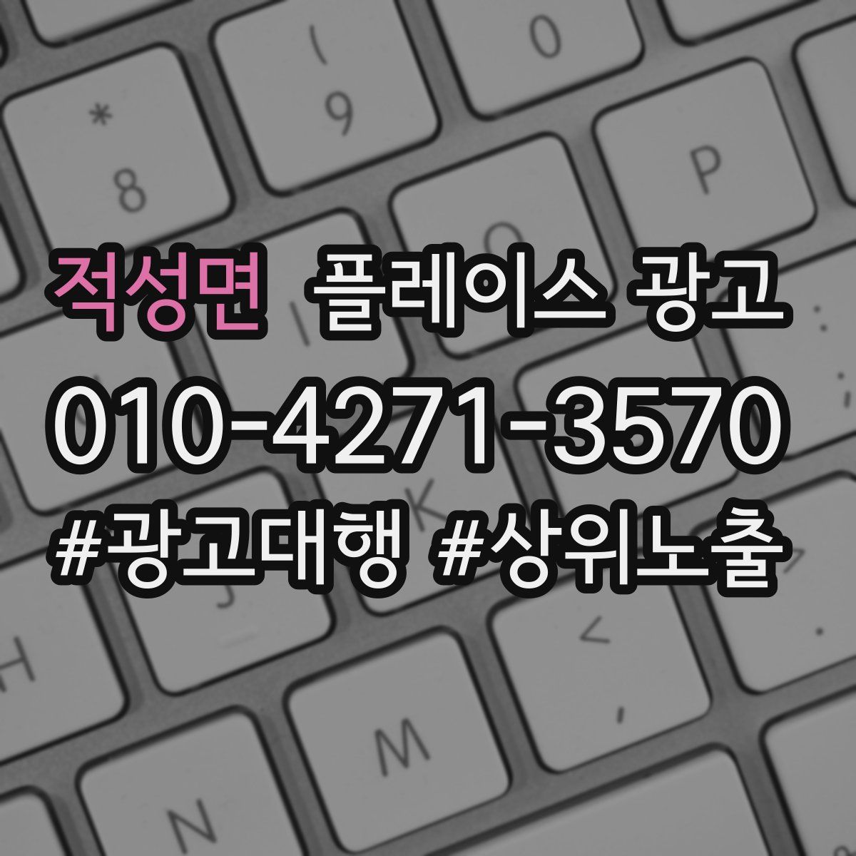 적성면 플레이스 광고