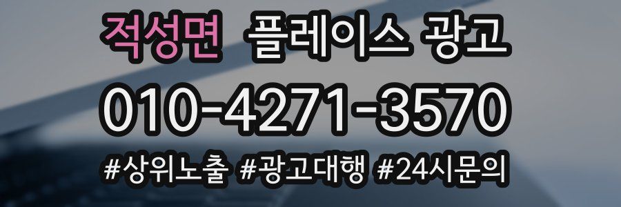 적성면 플레이스 광고