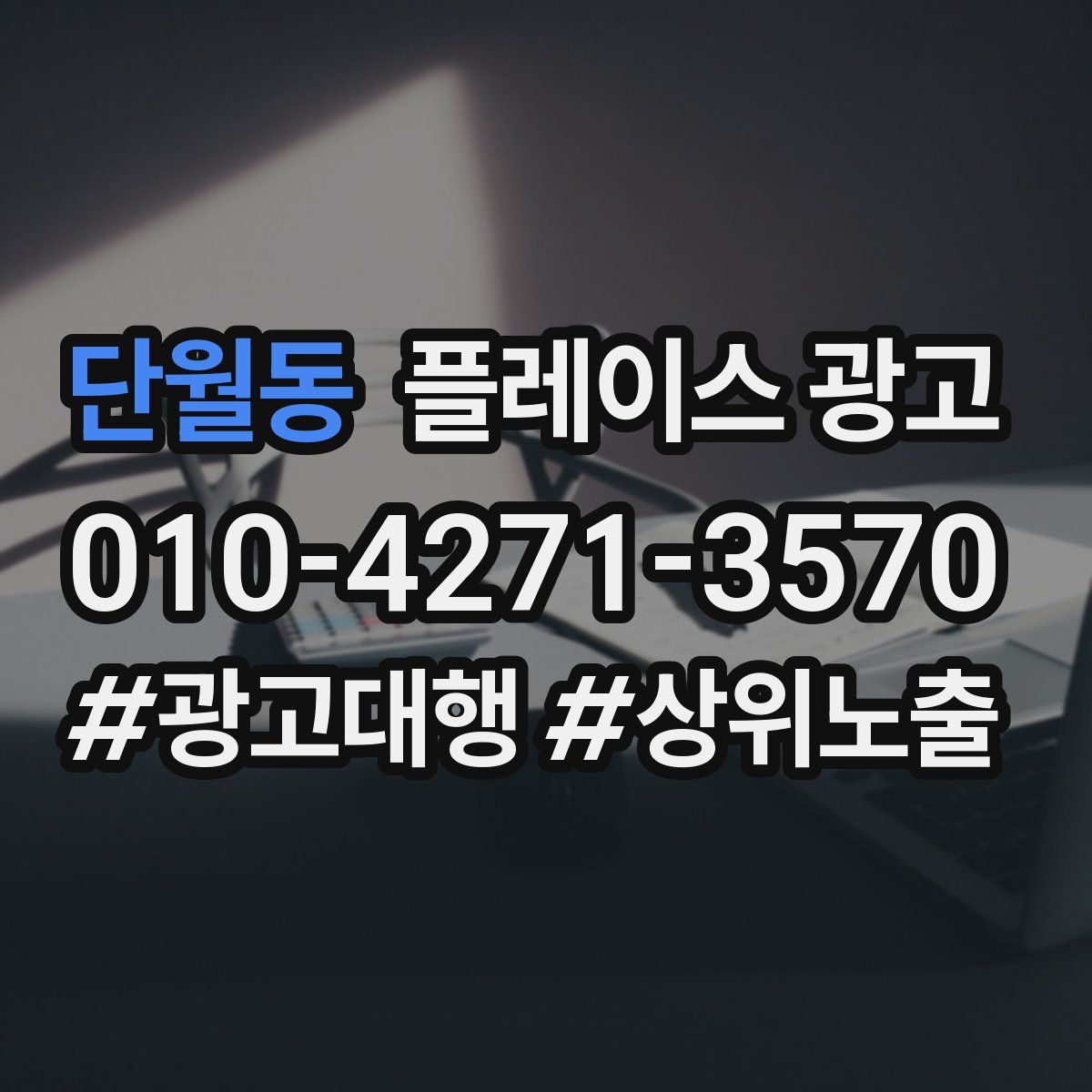 단월동 플레이스 광고