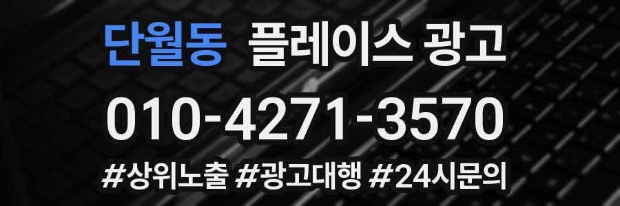 단월동 플레이스 광고