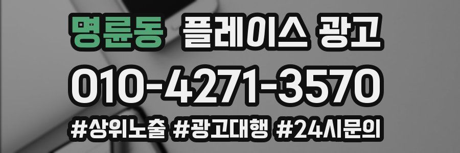 명륜동 플레이스 광고