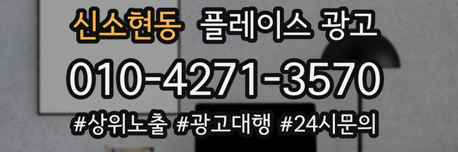 신소현동 플레이스 광고
