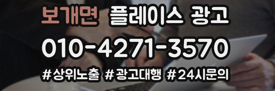 보개면 플레이스 광고