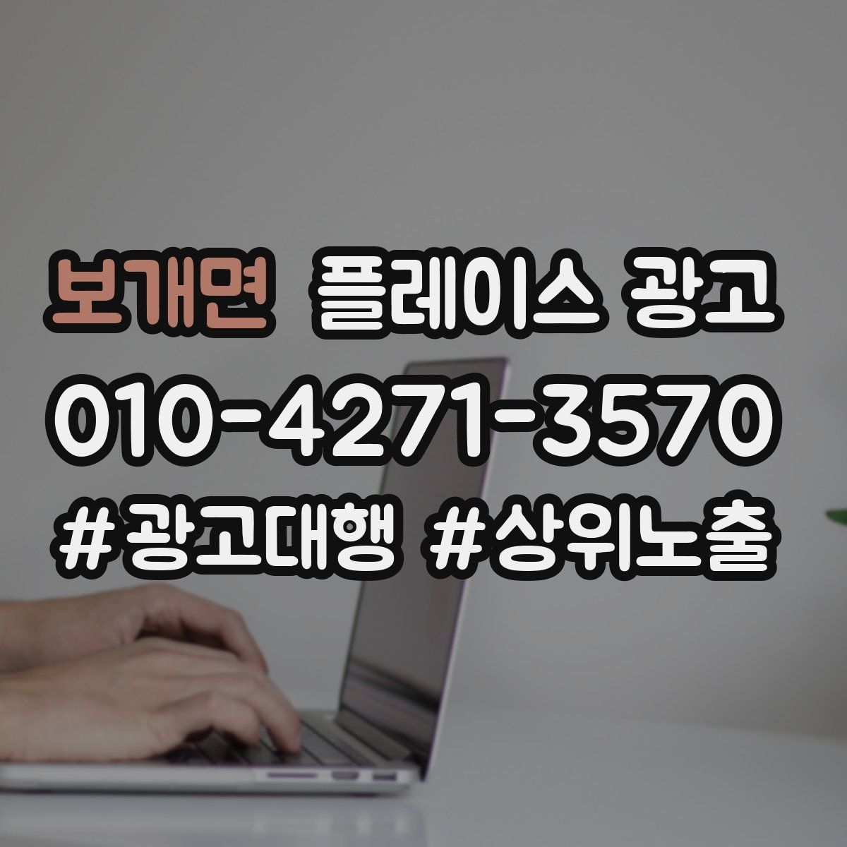 보개면 플레이스 광고
