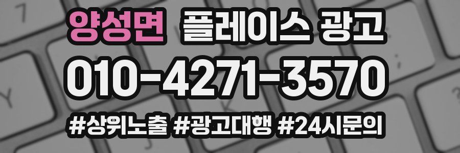 양성면 플레이스 광고