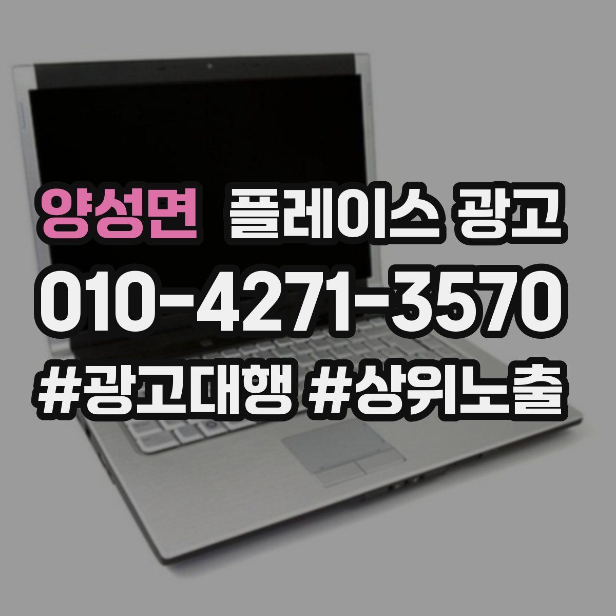 양성면 플레이스 광고