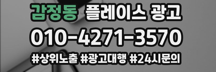 감정동 플레이스 광고