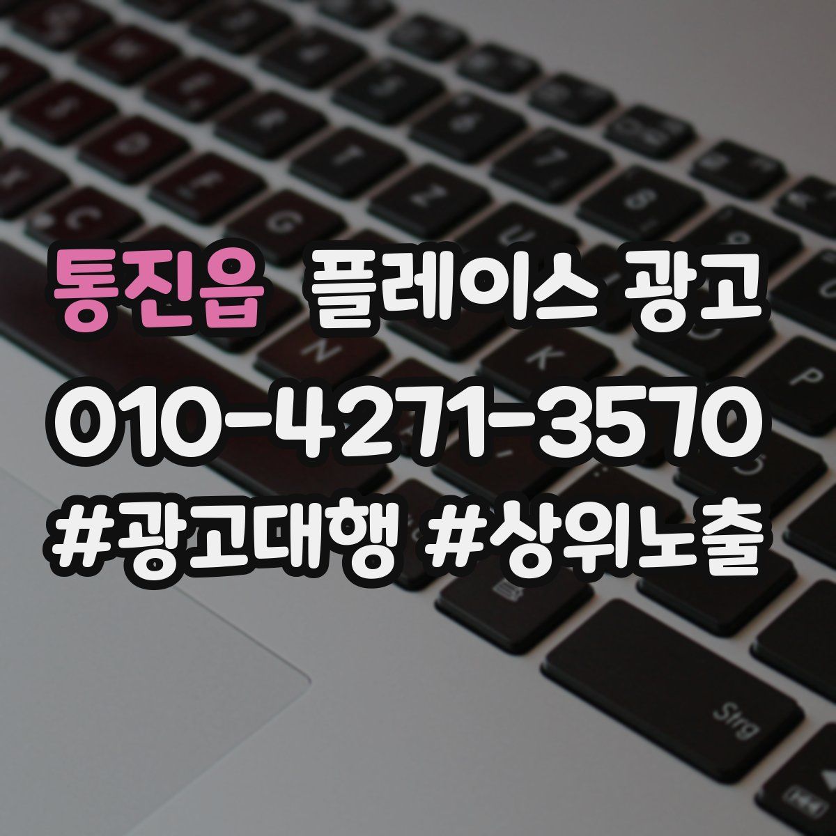 통진읍 플레이스 광고