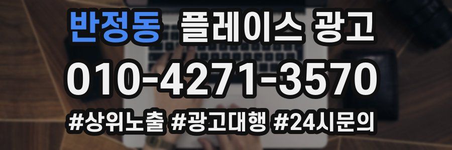 반정동 플레이스 광고