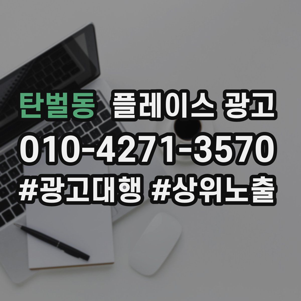 탄벌동 플레이스 광고