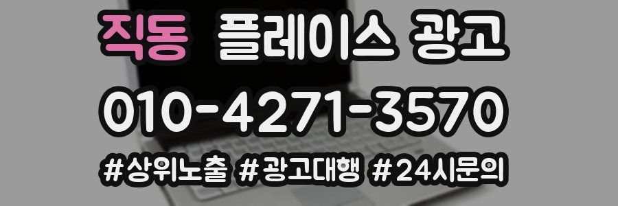 직동 플레이스 광고