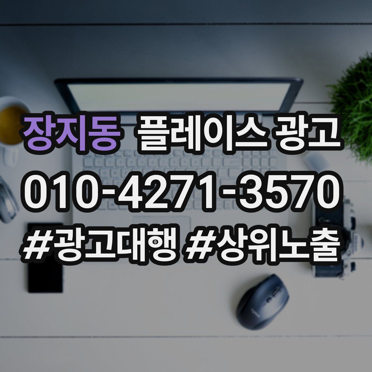 장지동 플레이스 광고