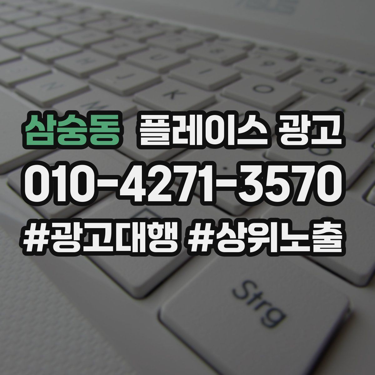 삼숭동 플레이스 광고